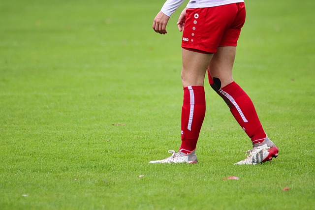 的经典棋牌 的经典棋牌