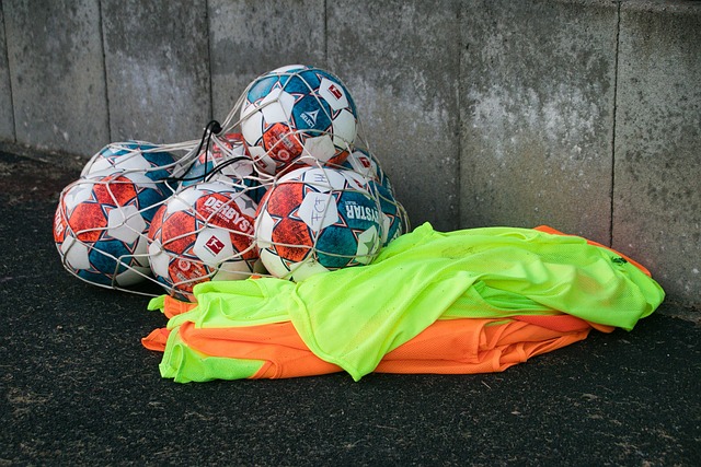 菲尼克斯太 菲尼克斯太