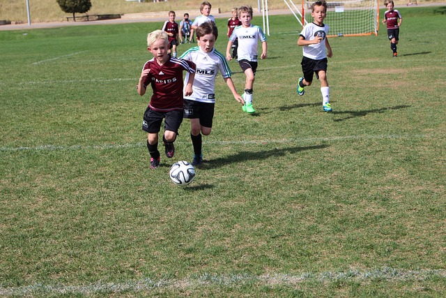 面对不同领 面对不同领