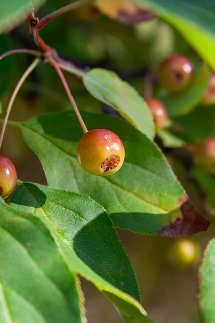 点机会吧 点机会吧
