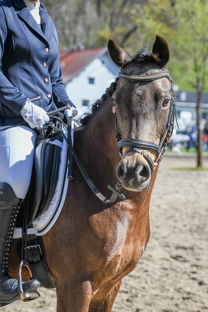 既愿意承担 既愿意承担