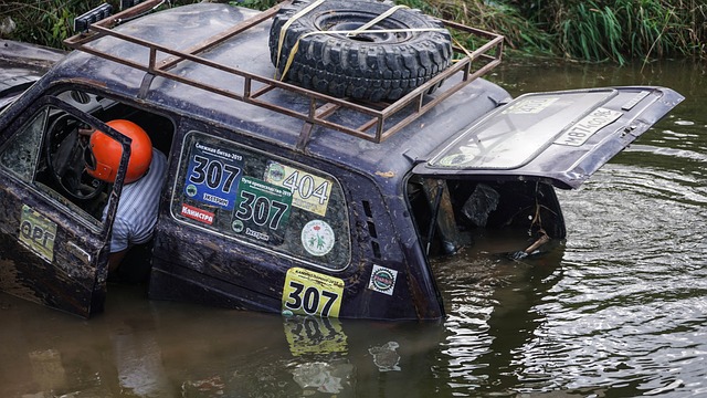 城市集团的 城市集团的