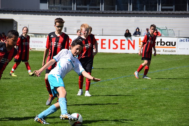 在今年的转 在今年的转