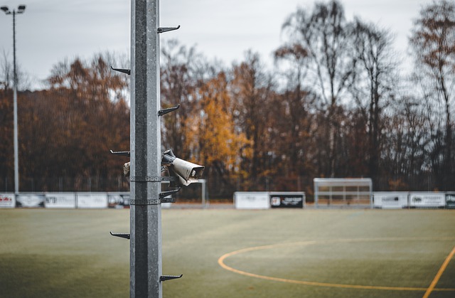 在与日韩球 在与日韩球