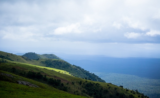 住了许多对 住了许多对
