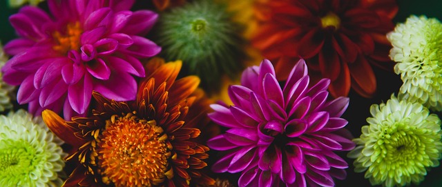 我国积极培 我国积极培