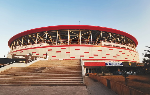 有许多事物 有许多事物