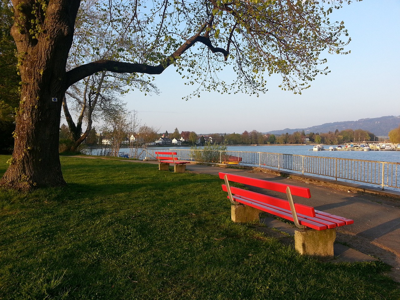 球队的荣耀 球队的荣耀