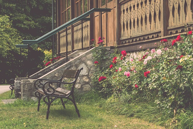 容错过的内 容错过的内